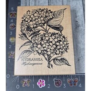 PSX Designs Hydrandgea Flower Plant K1468 1995 Rubber Stamp Wood #C25